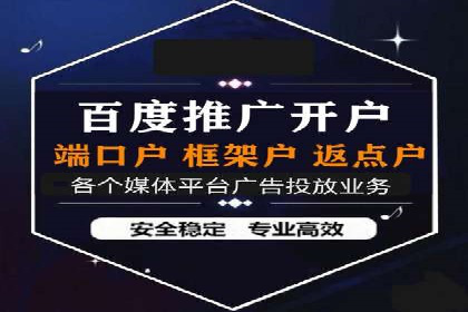 某企业通过SEO和SEM双管齐下实现业绩飞跃的案例